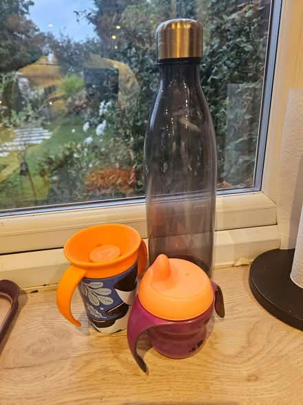 Photo of free Soppy cups + water bottle (Bromham MK43) #1