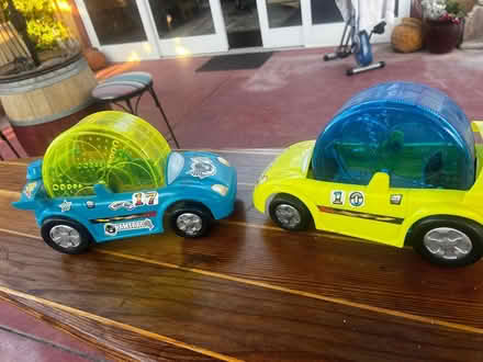 Photo of free Hamster Cars (San Jose/Campbell area) #1