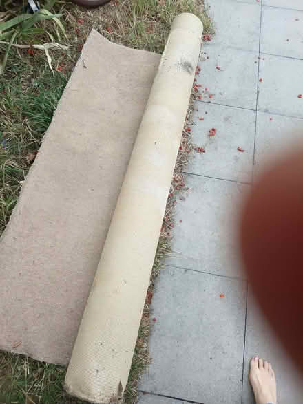 Photo of free Beige used carpet off cut. (Greater Leys OX4) #1
