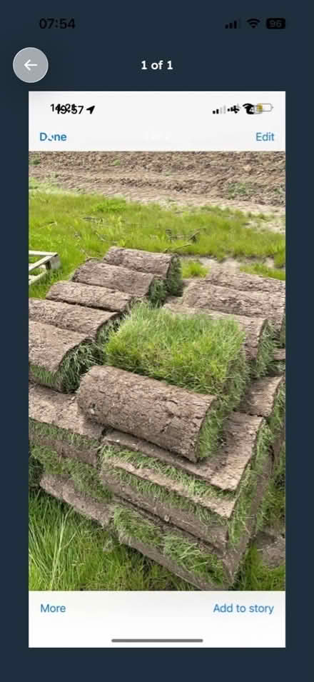 Photo of turf (Wokingham RG40) #1