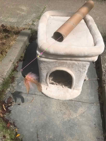 Photo of free Cat cave and toy (Stockton & Elm at) #2