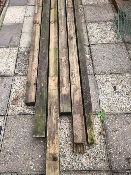 Photo of free Fence posts (Cooden TN39) #1