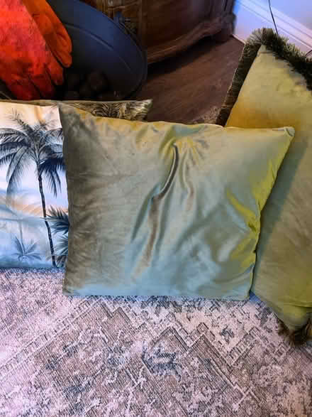 Photo of free Homesense sofa cushions x 2 (West Bridgford NG2) #2