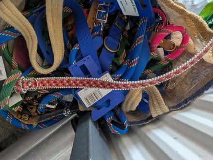 Photo of free Dog leads (HUNDREDS!) (Dudley Hill BD4) #3