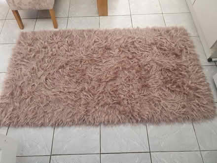 Photo of free Rug (Elstow MK42) #1