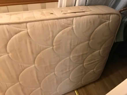 Photo of free Single mattress (Bewdley DY13) #2