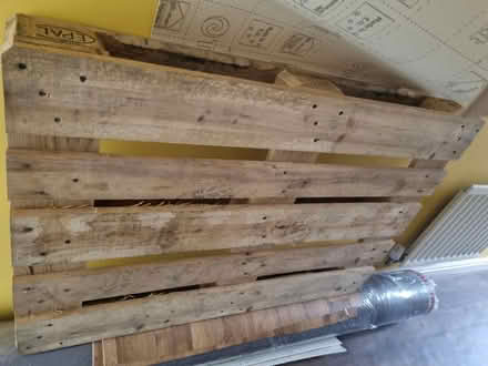 Photo of free Pallet (Bangor LL57) #1
