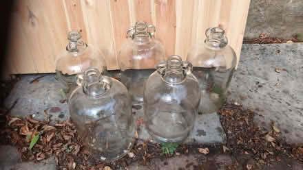 Photo of free Wine making Demijohns (Fackley NG17) #1