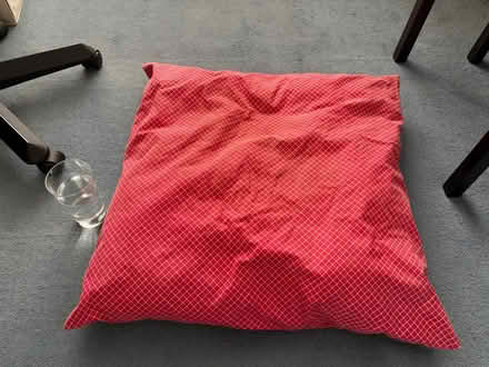 Photo of free Large red cushion - for kids? pets? (Bilton CV22) #1