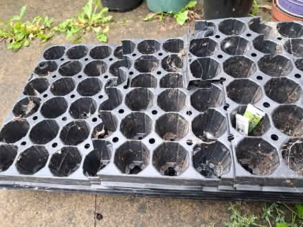 Photo of free Plastic plant pots (Heeley Green S14) #4