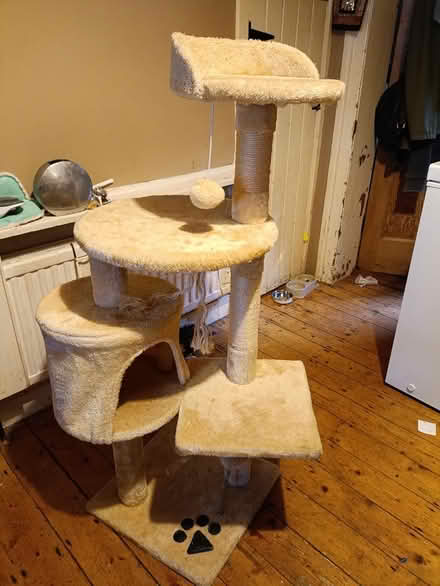 Photo of free Cat tree/ Scratching post (Ormeau Road, BT7) #1