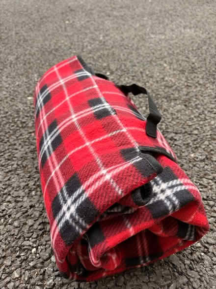 Photo of free Picnic blanket / fabric (Manor castle, S2) #2