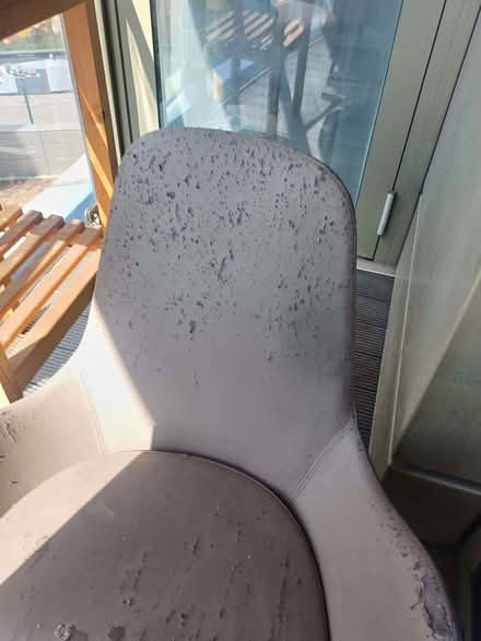 Photo of free Designer armchair (rotates) (Drayton Park N7) #2