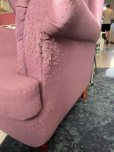 Photo of free Next wingback chair (Keynsham BS31) #2