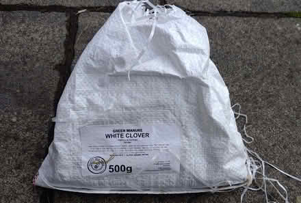Photo of free Half bag of white clover seeds (Malone Lower BT9) #1