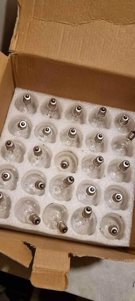 Photo of free G40 bulbs (NG3. Thorneywood) #2