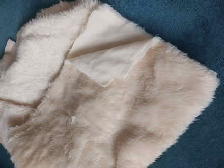 Photo of free Faux fur fabric (Streatham SW16) #1