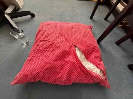 Photo of free Large red cushion - for kids? pets? (Bilton CV22) #3