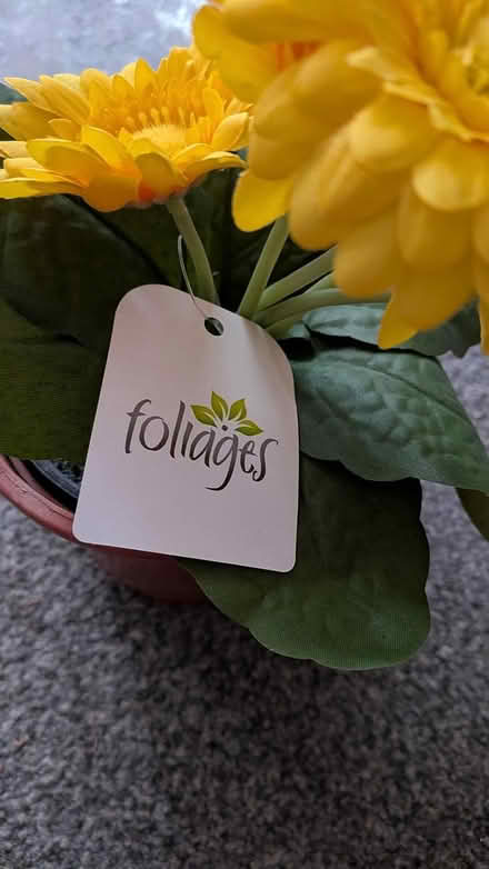 Photo of free Artificial plants (NN3 8XJ) #1