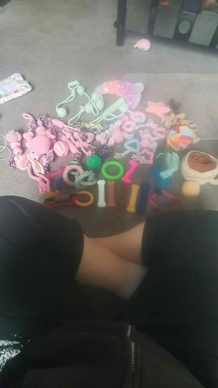 Photo of free Puppy small dog toy bundle (Haughton Green M34) #1