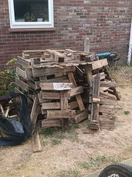 Photo of free Broken Pallets (Kempston MK42) #1