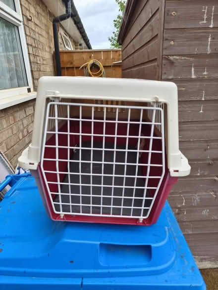Photo of free Pet carrier (North hull estate HU6) #4