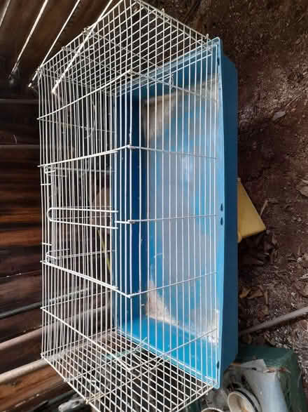 Photo of free Small animal cage (Dodford B61) #1