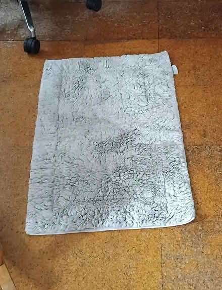 Photo of free Bath mat / rug (Finchley Church End N3) #1