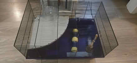 Photo of free Large hamster cage (Accrington BB5) #1