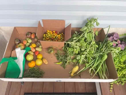 Photo of free Fresh veggies for the taking (Fair Lawn, NJ) #1