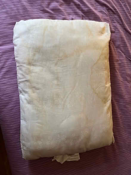 Photo of free White Pillows and twin sheets (Forest Hills) #1
