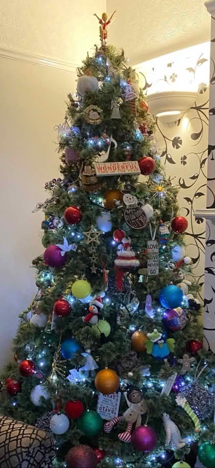 Photo of free 7ft Christmas tree (Carnforth LA6) #1