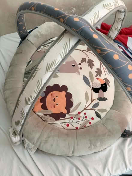 Photo of free Baby playing mat (N13 4TL) #1
