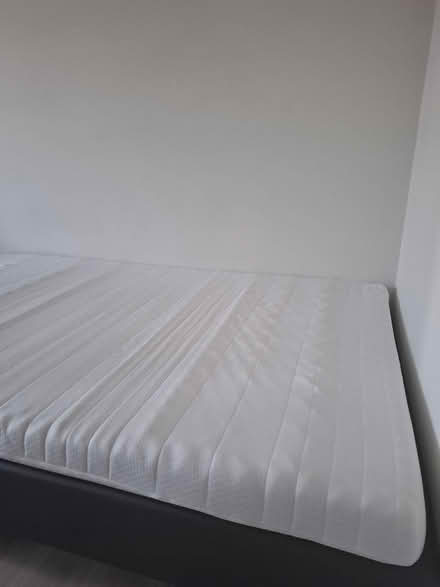 Photo of free Matras 120x200 (Leuven) #4