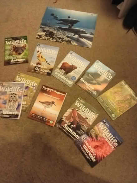 Photo of free 10 wildlife magazines and poster (Harrogate. HG1.) #3