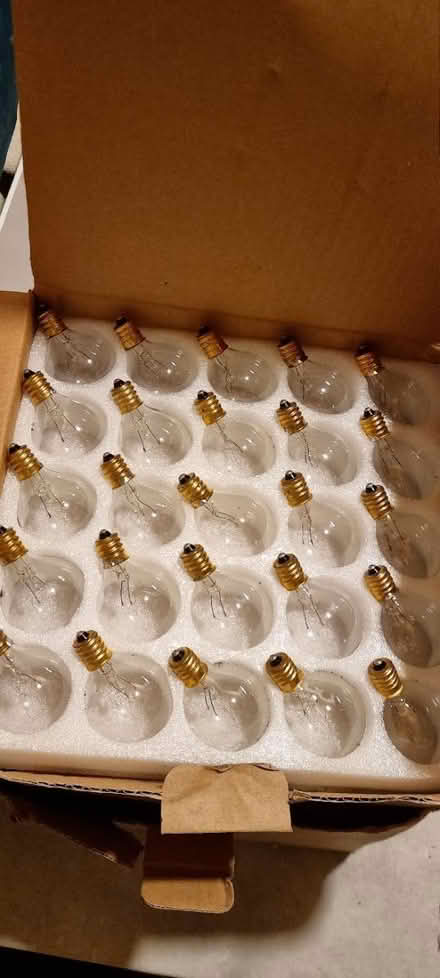 Photo of free G40 bulbs (NG3. Thorneywood) #3