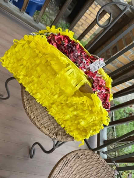 Photo of free Taco pinata (Mt Washington) #1