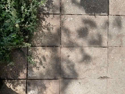 Photo of free concrete paving slabs (Seven Sisters N15) #2