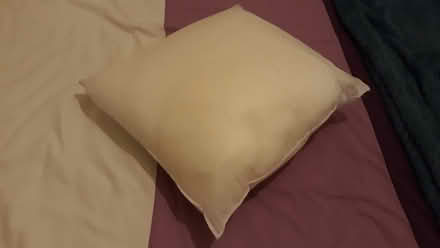 Photo of free Single cushion without cover (Merton Rise RG24) #1