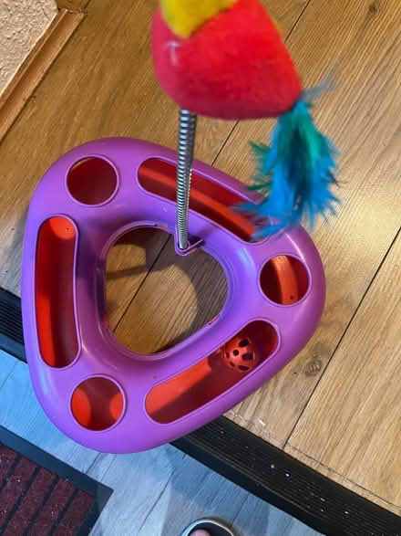 Photo of free Cat toy (Woodside CR0) #2