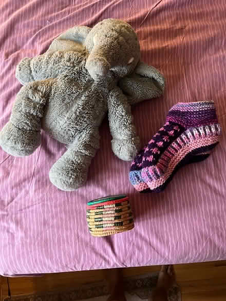 Photo of free Stuffed elephant, knitted slippers (Forest Hills) #1