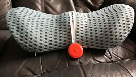 Photo of free Back/lumbar support (Merton Rise RG24) #2