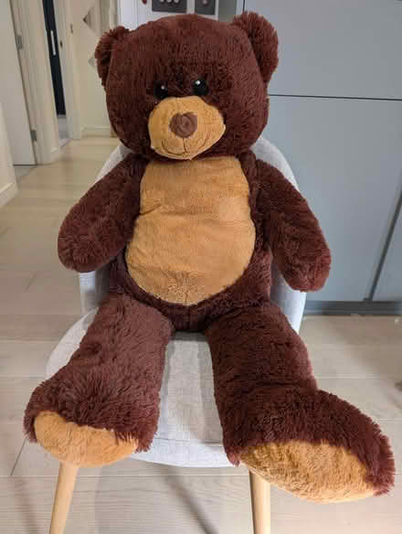 Photo of free Big teddy bear (Isle of Dogs E14) #1