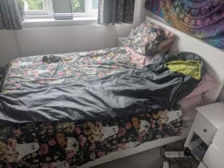 Photo of free Sleeping bag and air pillow (Haslucks Green B90) #3