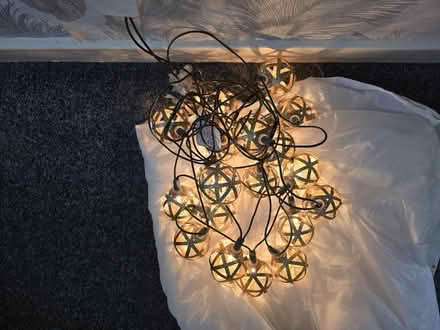 Photo of free Christmas lights (Warren Hill ish NG5) #1