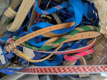Photo of free Dog leads (HUNDREDS!) (Dudley Hill BD4) #2