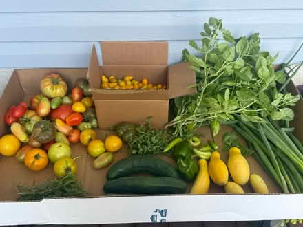 Photo of free Fresh picked organic veggies (Fair Lawn, NJ) #1