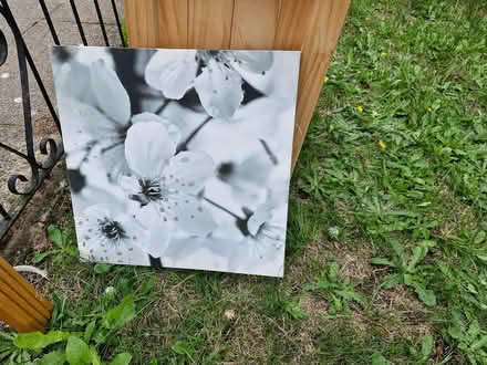 Photo of free Pine bed and other (Knowsley) #3