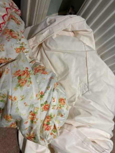 Photo of free Two duvets (Waterbeach) #1
