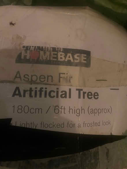 Photo of free Homebase Frosted 6ft Xmas Tree (Bournville B30) #2